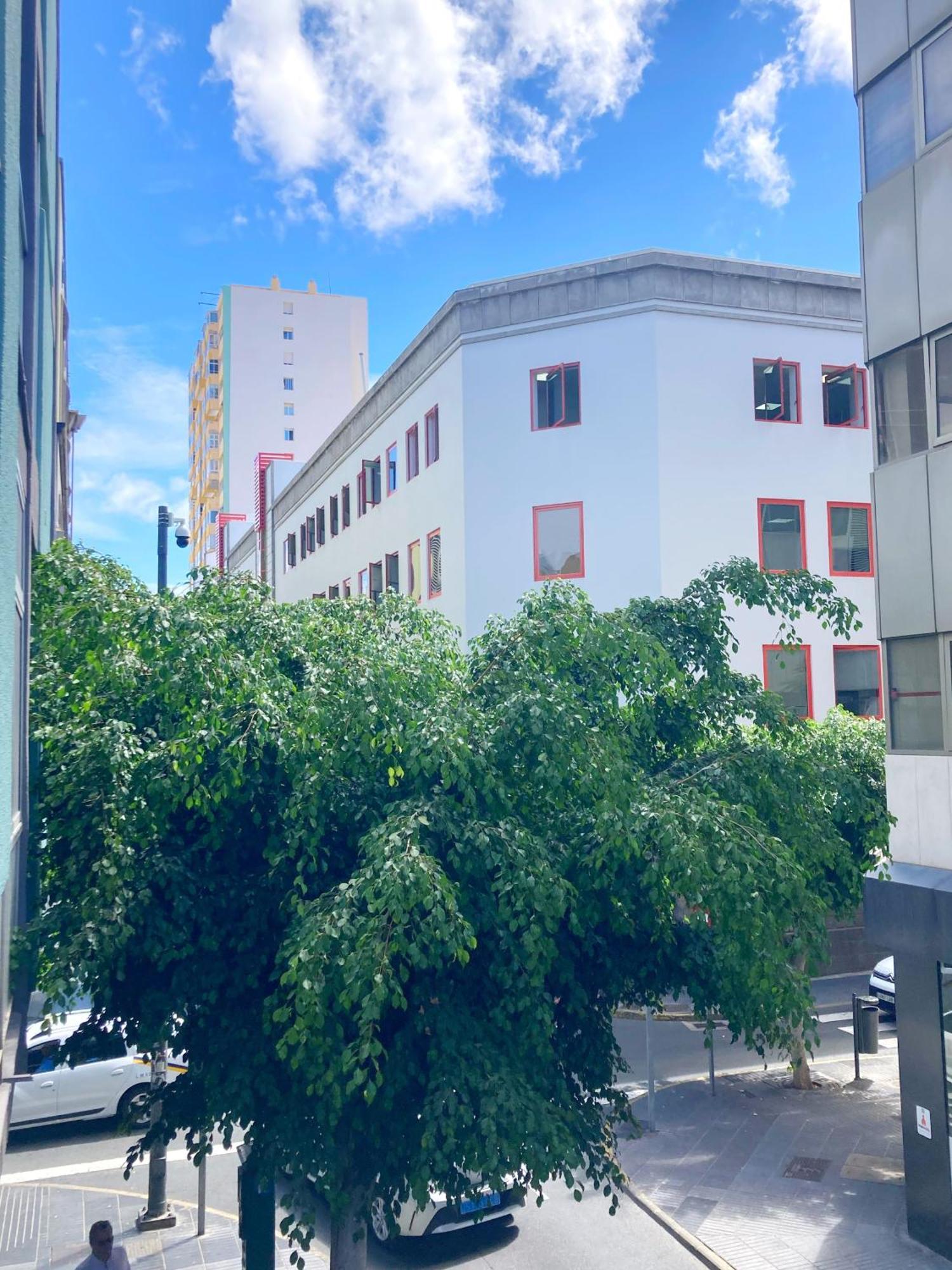 לאס פאלמס דה גראן קנאריה Boutique Apartment I By Canary365 מראה חיצוני תמונה